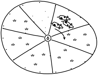 Grazing Cells from the Regenerative Farm Plan shape library