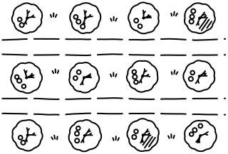 Orchard Layout from the Regenerative Farm Plan shape library