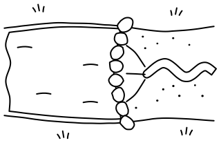 Leaky Weir from the Regenerative Farm Plan shape library