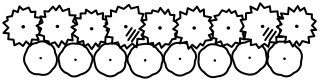 Windbreak from the Regenerative Farm Plan shape library