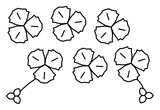 Ground Cover Planting from the Regenerative Farm Plan shape library