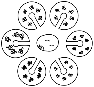 Mandala Garden from the Regenerative Farm Plan shape library
