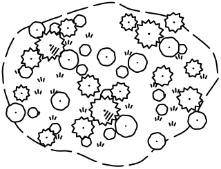 Native Bushland from the Regenerative Farm Plan shape library