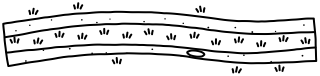 Farm Track from the Regenerative Farm Plan shape library