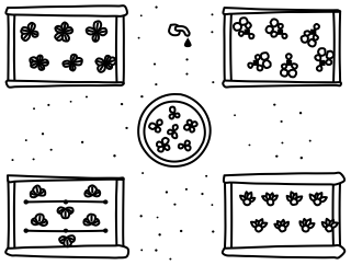 Kitchen Garden from the Regenerative Farm Plan shape library