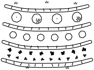 Terraces from the Regenerative Farm Plan shape library