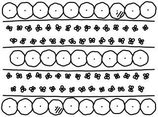 Alley Cropping from the Regenerative Farm Plan shape library
