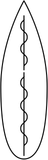 ship 01 from the Sailing shape library